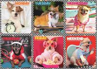 Trefl Happy Dogs - puzzle image