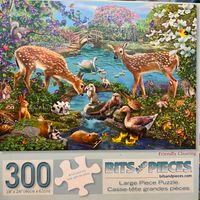 Bits and Pieces Friendly Clearing - puzzle image