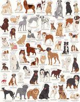 Ridley's Games The Dog Lover’s Jigsaw Puzzle - puzzle image