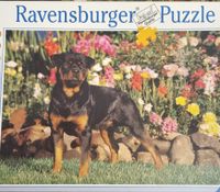 Ravensburger Rottweiller - puzzle image