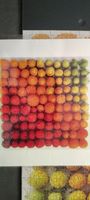 Genuine Fred Salmonberries - obrázek puzzlí