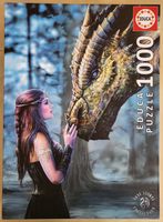 Educa Anne Stokes: Once Upon a Time - image du puzzle