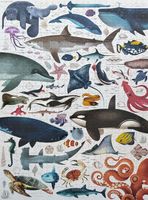 Crocodile Creek Ocean Animals - puzzle image