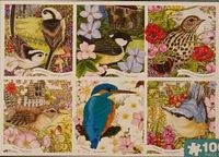 Otter House Garden birds - puzzle image
