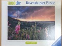 Ravensburger Dreamy Thunder - puzzle image