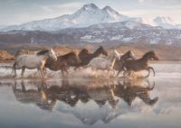 Schmidt Horses in Kapadokia - puzzle image