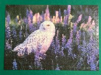 Buffalo Games National Audubon Society Snowy Owl - puzzle image