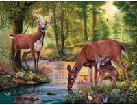 Bits and Pieces Woodland Stream - obrázek puzzlí