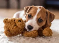 Ravensburger Cuddle buddies - obrázek puzzlí