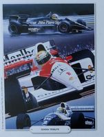 King Racing Cars Collection - Senna Tribute - image du puzzle
