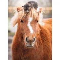 Ravensburger The Little Rider - obrázek puzzlí