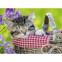 Ravensburger Sleeping Kitten - puzzle image