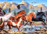 Alipson Wild and free - Puzzlebild