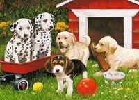 Ravensburger Puppy Party - Puzzlebild