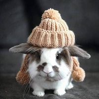 Ravensburger Funny Animal Portraits: Bunny Hat - Puzzlebild
