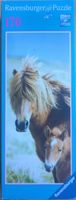 Ravensburger Icelandic Ponies - puzzle image