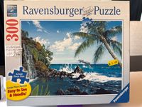 Ravensburger Dolphin cove - puzzle image