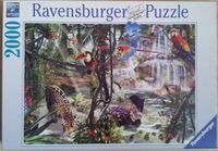 Ravensburger Dschungelimpressionen - image du puzzle