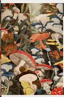 Lantern Press Woodland Mushrooms - puzzle image