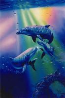 Nathan rainbow dolphins - obrázek puzzlí