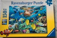 Ravensburger Le paradis sous l'eau - パズル画像