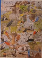 Marabout Le tour du monde en 50 oiseaux - パズル画像