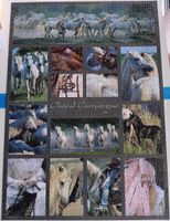 Nathan Cheval Camargue - パズル画像