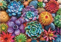 Trefl colorful succulents - puzzle image