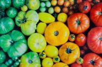 Cardinal Rainbow of Veggies - obrázek puzzlí