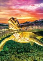Buffalo Games Earthpix - Sea Turtle - obrázek puzzlí