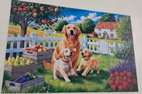 Trefl Dogs in the countryside - Puzzlebild