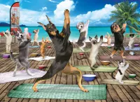Eurographics Yoga Spa - puzzle image