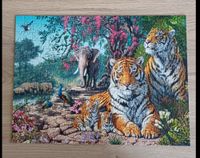 Castorland Tiger sanctuary - Puzzlebild