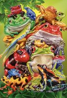 Cobble Hill Frog Business - puzzle image