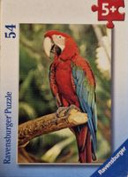 Ravensburger Exotic Animals - Parrot - puzzle image