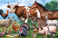 Biorgur Farm Animals - puzzle image