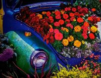 Springbok Garden Bug - puzzle image