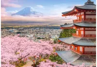 Castorland Spring in Japan - Puzzlebild