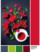 Clementoni Pantone: Red Hibiscus Aroma - puzzle image