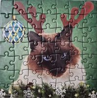 Eurographics Chrismas Cats 2 - puzzle image