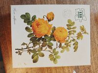 Waddingtons Rosa sulfurea - puzzle image