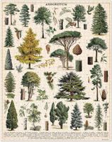 Cavallini & Co. Arboretum - Puzzlebild