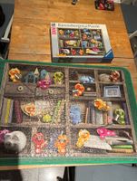 Ravensburger Gelini im Bücherregal - puzzle image