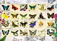 Anatolian Butterfly Stamps - puzzle image