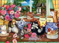Anatolian Kittens in the Kitchen - obrázek puzzlí