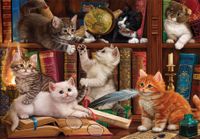 Anatolian Kittens in the Library - puzzle image
