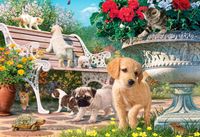Anatolian Pets Hide and Seek - obrázek puzzlí