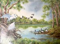 Australian Greetings Waterbirds - obrázek puzzlí