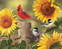 Bits and Pieces Sunflowers and Songbirds - obrázek puzzlí