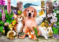 Bluebird Good Companions - puzzle image